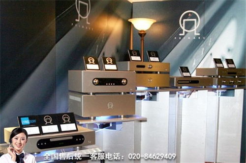 龍湖丹麥Davone CD機(jī)及樂器維修全國(guó)24小時(shí)服務(wù)